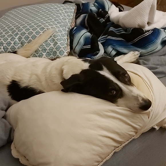 Meet your Posher, Valerie - Picture 2 of 3